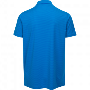 Dunning Golf Whitby Jersey Polo Shirt - Small 40-42" Chest - Sodalite/Swift - Image 2