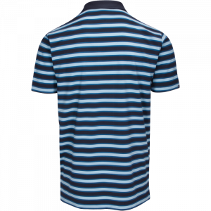Dunning Golf Milford Jersey Polo Shirt - Small 40-42" Chest - Halo/Blade/Polar - Image 2